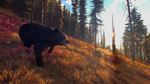 * Way of the Hunter Xbox Series X|S активация
