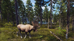 * Way of the Hunter Xbox Series X|S активация