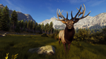 * Way of the Hunter Xbox Series X|S активация