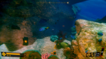 * Deep Diving Adventures Xbox One|X|S активация