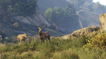 * Grand Theft Auto V: Premium Edition Xbox активация