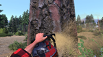 * Lumberjack´s Dynasty Xbox One|X|S активация