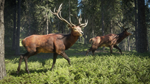 * theHunter: Call of the Wild Xbox One|X|S активация