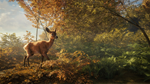 * theHunter: Call of the Wild Xbox One|X|S активация