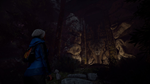 * Through the Woods Xbox One|X|S активация