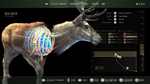 * Way of the Hunter: Elite Edition Xbox активация