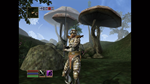 * The Elder Scrolls III: Morrowind Xbox активация