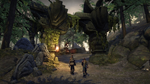 * Fable Anniversary Xbox One|X|S активация