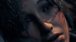 Rise of the Tomb Raider 20*Year Celebration Xbox актива