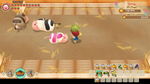 STORY OF SEASONS Friends of Mineral Town Xbox активация
