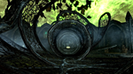 * The Elder Scrolls V Skyrim Anniversary Xbox активация