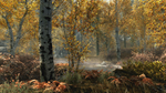 * The Elder Scrolls V: Skyrim Special Ed Xbox активация