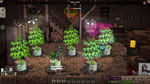 * Weedcraft Inc Xbox One & Xbox Series X|S активация