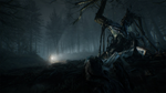 * Blair Witch Xbox One & Xbox Series X|S активация
