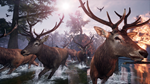 * Away : The Survival Series Xbox One|X|S активация