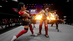 * AEW: Fight Forever Xbox One|X|S активация