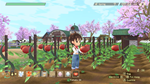 * STORY OF SEASONS: A Wonderful Life Xbox активация