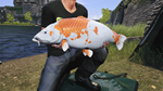 * Euro Fishing: Ultimate Edition Xbox One|X|S активация