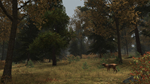 * Walden, a game Xbox One & Xbox Series X|S активация