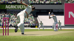 * Cricket 24 Xbox One & Xbox Series X|S активация