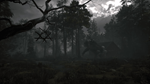 * Stray Souls Xbox One & Xbox Series X|S активация