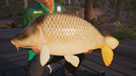 Fishing Sim World: Pro Tour Collector´s Ed Xbox активац