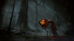 * ELDEN RING Shadow of the Erdtree Premium Bundle Xbox