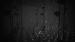 * White Shadows Xbox Series X|S активация
