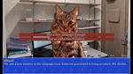 * Cat President: A More Purrfect Union Xbox активация