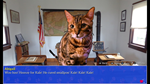 * Cat President: A More Purrfect Union Xbox активация