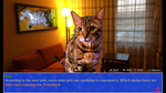 * Cat President: A More Purrfect Union Xbox активация