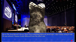 * Cat President: A More Purrfect Union Xbox активация