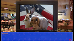 * Cat President: A More Purrfect Union Xbox активация