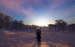 * Sledders Xbox Series X|S активация
