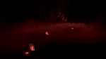 * A Night on the Farm Xbox One|X|S активация