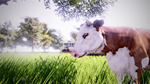 * Real Farm Xbox One & Xbox Series X|S активация