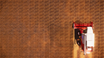 * Real Farm Xbox One & Xbox Series X|S активация