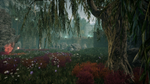 * Nephise: Ascension Xbox One|X|S активация