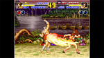 * ACA NEOGEO FATAL FURY 2 Xbox One|X|S активация