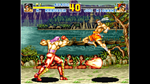 * ACA NEOGEO FATAL FURY SPECIAL Xbox One|X|S активация