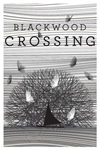 * Blackwood Crossing Xbox One|X|S активация
