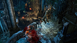 * Blood Knights Xbox One & Xbox Series X|S активация