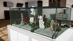 * Aquarium in Cafe Xbox One & Xbox Series X|S активация