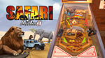 * Wild & Adventure Pinball Xbox One|X|S активация