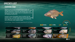 * The Catch: Carp & Coarse Fishing Xbox активация