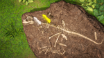* DINOSAURS: Mission Dino Camp Xbox One|X|S активация