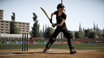 * Don Bradman Cricket 17 Xbox One|X|S активация