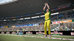 * Don Bradman Cricket 17 Xbox One|X|S активация