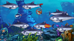 * Feeding Frenzy 2 Xbox One & Xbox Series X|S активация
