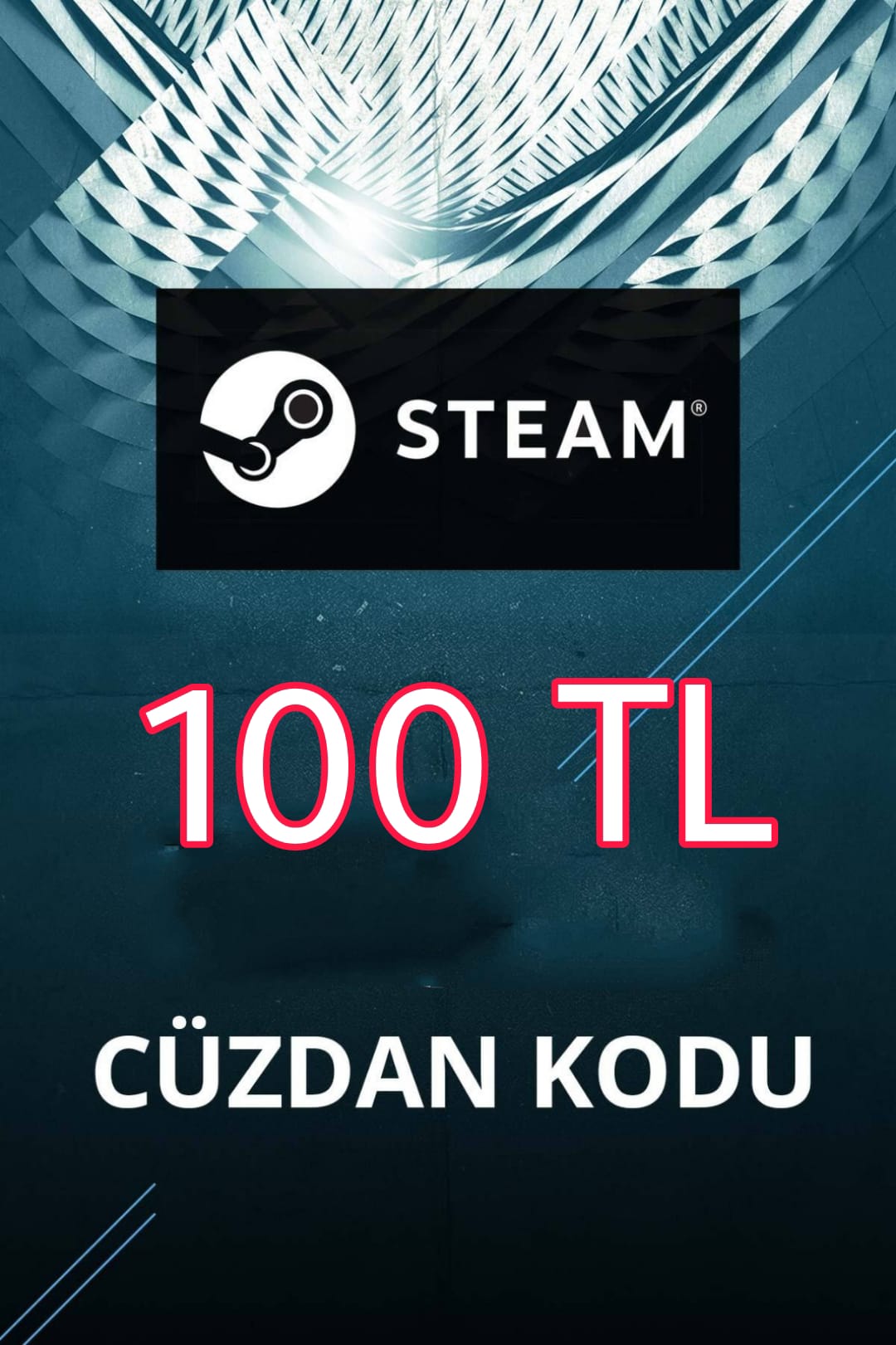 Steam 100 sale фото 17